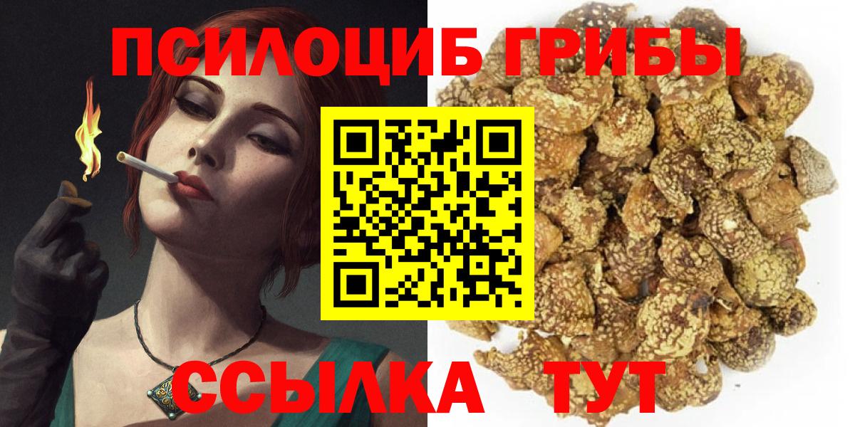 Фрязино  Галлюциногенные грибы Cubensis  Вход с VPN  Галлюциногенные грибы мицелий 